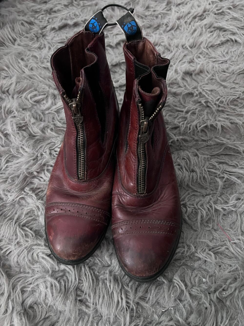 Ariat Heritage Zip Paddock Boots Women’s Cordovan Leather Riding 7.5 Equestrian